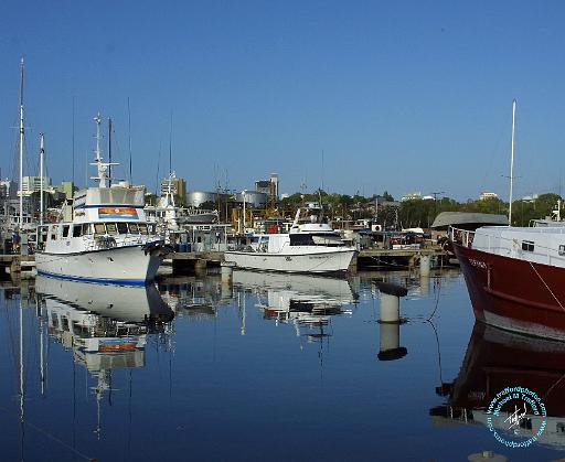 Darwin Harbour 9P001D-009.JPG